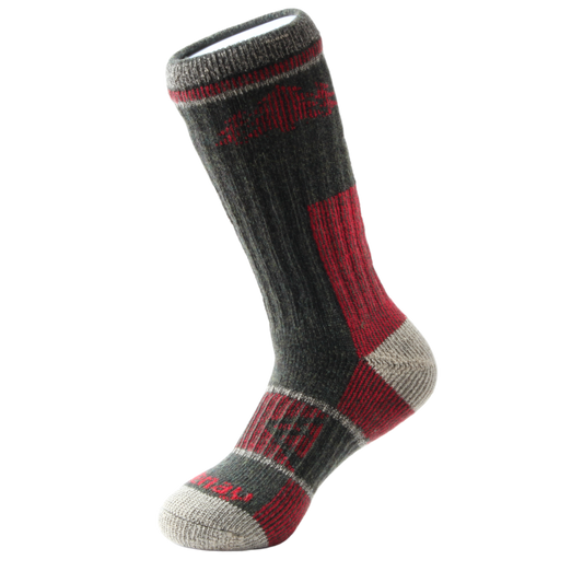 Forest Green & Red Boot Heavyweight Merino Wool Kootenay Socks In The Wild
